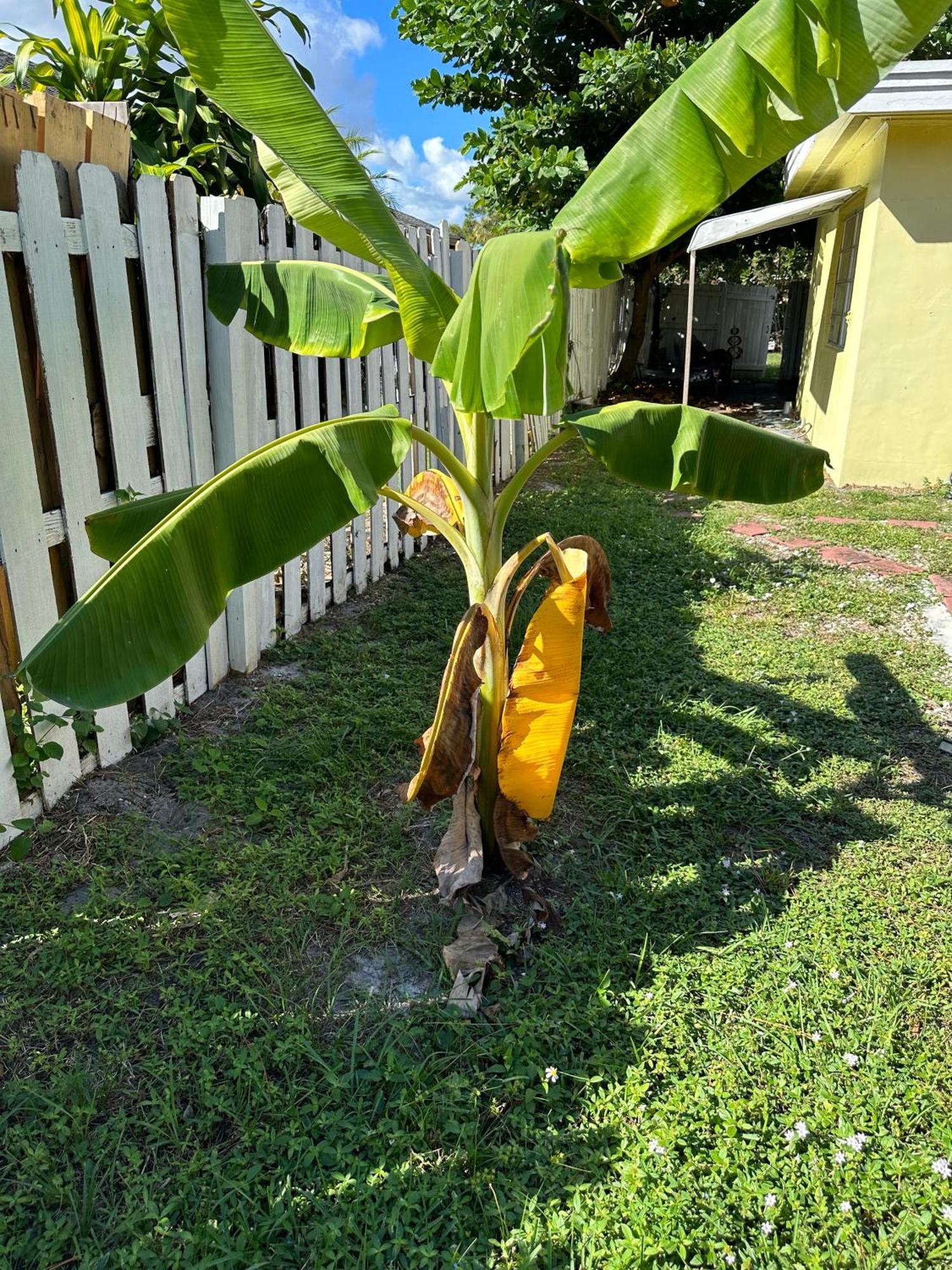 לייק וורת' 3 Bedroom House Fenced Backyard Private Patio Areas Grill Firepit Plenty Parking! Quick Access 10 Min To Beach Airport Delray West Palm מראה חיצוני תמונה